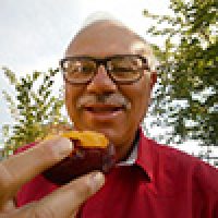 Raffaele Serio Raffaele Serio