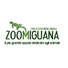 zoomiguana